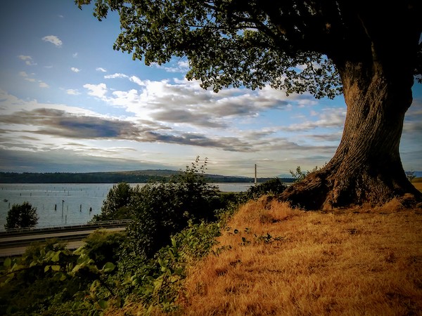 What in the&nbsp;world?